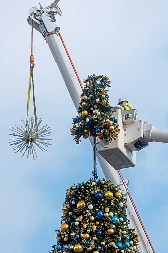 MIKE DEAL / FREE PRESS
Jim Forbestor with MyTEC industry installs the top of the Winnipeg City Hall holiday tree Wednesday afternoon. 
Standup
241106 - Wednesday, November 06, 2024.