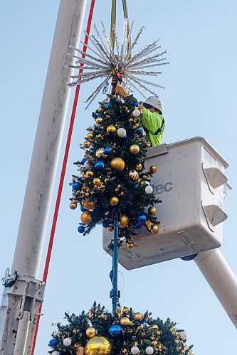 MIKE DEAL / FREE PRESS
Jim Forbestor with MyTEC industry installs the top of the Winnipeg City Hall holiday tree Wednesday afternoon. 
Standup
241106 - Wednesday, November 06, 2024.