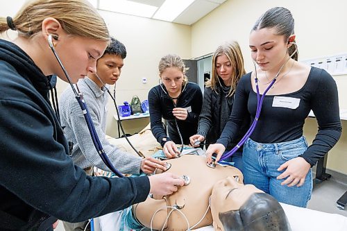 MIKE DEAL / FREE PRESS
(From left) Karalyna Kuizenga from Warren Collegiate, Zean Zapatero and Natalia Lesser from Daniel McIntyre Collegiate Institute, Bethany Wiebe and Dayna Gobeil from Morris School, check the respiration of a mannequin with their stethoscopes during a workshop called, Hands-on Nursing Clinical Skills, as part of the Discovery Day in Health Sciences, a University of Manitoba event. The day long opportunity saw more than 300 students and teachers from 60 high schools from across Winnipeg and surrounding areas converge on the University of Manitoba Bannatyne campus to speak with award-winning faculty members, take part in interactive workshops demonstrating real-world medical skills, and get a clear picture of what it&#x2019;s really like to be a health professional or scientist. 
The Hands-on Nursing Clinical Skills workshop was an immersive workshop designed to enhance the students practical skills across critical areas of patient care. 
Standup
241107 - Thursday, November 07, 2024.