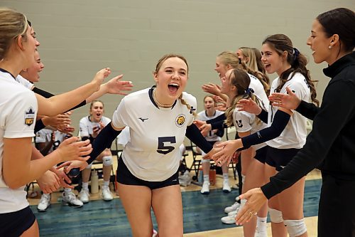 08112024
Megan Pickford #5 of the Brandon University Bobcats is cheered on by teammates as she takes to the court for the first set of the Bobcats home-opener against the University of Saskatchewan Huskies at the BU Healthy Living Centre on Friday evening.  
(Tim Smith/The Brandon Sun)