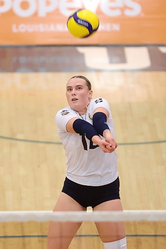 08112024
Avery Burgar #12 of the Brandon University Bobcats bumps the ball during the Bobcats home-opener against the University of Saskatchewan Huskies at the BU Healthy Living Centre on Friday evening.  
(Tim Smith/The Brandon Sun)