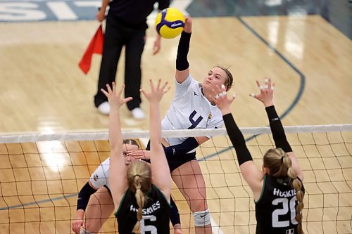 08112024
Georgia Johnson #4 of the Brandon University Bobcats spikes the ball during the Bobcats home-opener against the University of Saskatchewan Huskies at the BU Healthy Living Centre on Friday evening.  
(Tim Smith/The Brandon Sun)