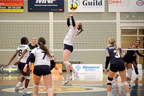 08112024
Carly Thomson #11 of the Brandon University Bobcats sets the ball during the Bobcats home-opener against the University of Saskatchewan Huskies at the BU Healthy Living Centre on Friday evening.  
(Tim Smith/The Brandon Sun)