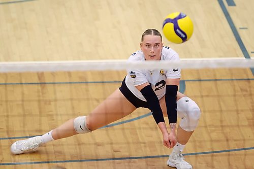 08112024
Avery Burgar #12 of the Brandon University Bobcats digs the ball during the Bobcats home-opener against the University of Saskatchewan Huskies at the BU Healthy Living Centre on Friday evening.  
(Tim Smith/The Brandon Sun)