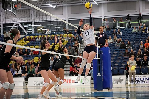 08112024
Carly Thomson #11 of the Brandon University Bobcats leaps to tip the ball during the Bobcats home-opener against the University of Saskatchewan Huskies at the BU Healthy Living Centre on Friday evening.  
(Tim Smith/The Brandon Sun)