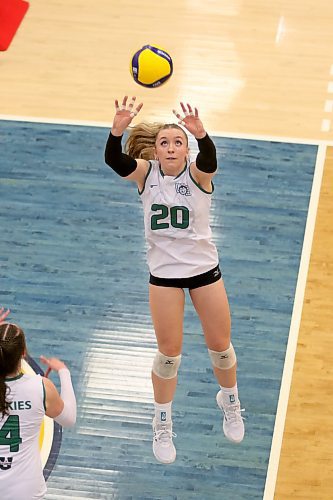 Former Bobcat Tielle Hagel posted 27 assists to lead the Saskatchewan Huskies to a 3-0 win in Canada West women's volleyball at the HLC on Friday. (Thomas Friesen/The Brandon Sun)