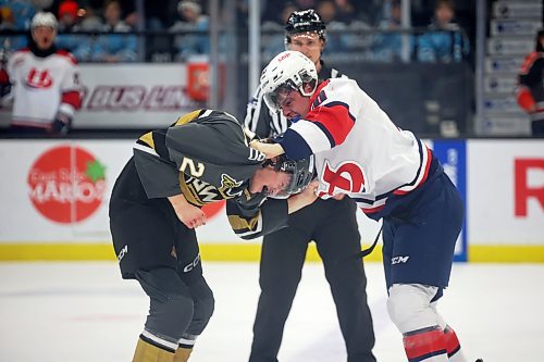 11112024
Mere hours after the moment of silence at the annual Remembrance Day ceremony at Westoba Place the crowd cheers in approval for the violence between Ben Binder Nord #20 of the Brandon Wheat Kings and Chase Petersen #20 of the Lethbridge Hurricanes during WHL action on Monday afternoon.  (Tim Smith/The Brandon Sun)