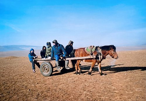 Terry Doerksen / Free Press
The Doerksen&#x2019;s very first cart adventure in Arhangai, Mongolia.