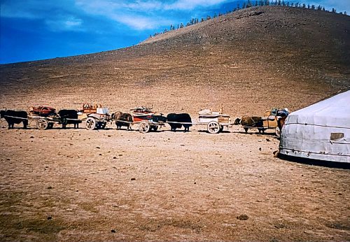 Terry Doerksen / Free Press
Bumper-to-bumper traffic, Mongolian-style.