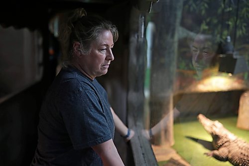 12112024
Candi Shelvey, co-owner of Westman Reptile Gardens, looks in on the Nile crocodiles on Tuesday. (Tim Smith/The Brandon Sun)