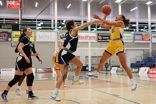 Amaya McLeod of the Brandon University Bobcats leaps to take a shot on net during university women’s basketball action against the University of Lethbridge Pronghorns at the BU Healthy Living Centre on Friday evening. 
(Tim Smith/The Brandon Sun)