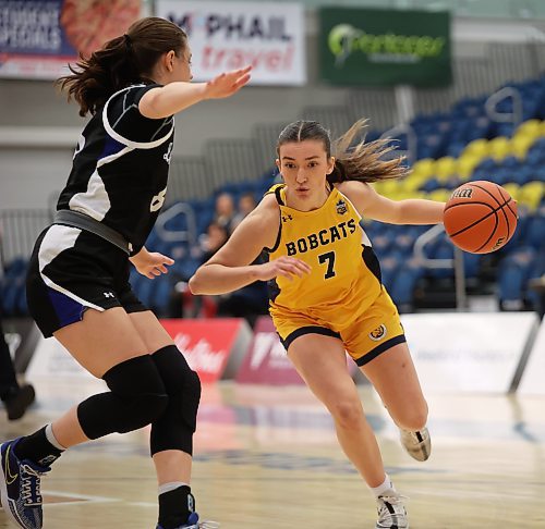 15112024
Taya Clark of the Brandon University Bobcats charges for the net during university women’s basketball action against the University of Lethbridge Pronghorns at the BU Healthy Living Centre on Friday evening. 
(Tim Smith/The Brandon Sun)