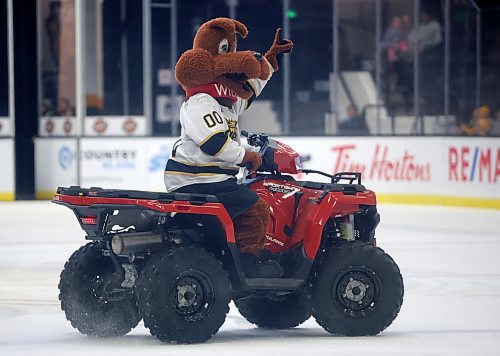 Brandon Wheat Kings mascot Willie entertains the crowd during the first intermission of WHL action against the Regina Pats at Westoba Place on Friday evening. 
(Tim Smith/The Brandon Sun)