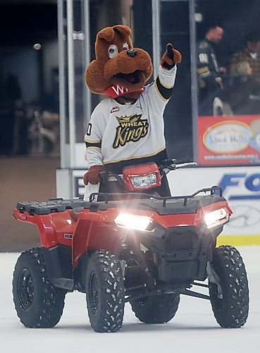 Brandon Wheat Kings mascot Willie entertains the crowd during the first intermission of WHL action against the Regina Pats at Westoba Place on Friday evening. 
(Tim Smith/The Brandon Sun)