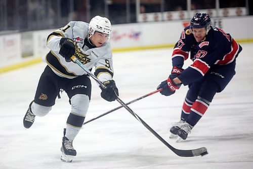 Nolan Flamand #91 of the Brandon Wheat Kings fires as shot on net as Cameron Kuzma #47 of the Regina Pats tries to cut him off during WHL action at Westoba Place on Friday evening. 
(Tim Smith/The Brandon Sun)