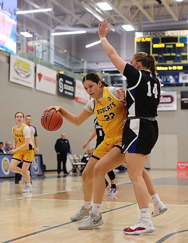 15112024
Jayna Maytwayashing #22 of the Brandon University Bobcats tries to get the ball around Abby Stonehocker #14 of the University of Lethbridge Pronghorns during university women&#x2019;s basketball action at the BU Healthy Living Centre on Friday evening. 
(Tim Smith/The Brandon Sun)