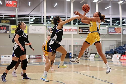 15112024
Amaya McLeod #21 of the Brandon University Bobcats leaps to take a shot on net during university women&#x2019;s basketball action against the University of Lethbridge Pronghorns at the BU Healthy Living Centre on Friday evening. 
(Tim Smith/The Brandon Sun)