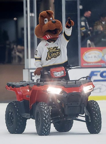 15112024
Brandon Wheat Kings mascot Willie entertains the crowd during the first intermission of WHL action against the Regina Pats at Westoba Place on Friday evening. 
(Tim Smith/The Brandon Sun)