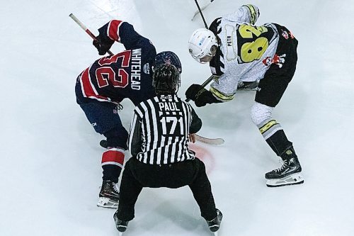 Dominik Petr faces off against Regina's Braxton Whitehead Saturday night at the Keystone Centre (Matt Packwood/The Brandon Sun)