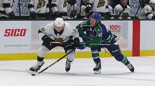 In a battle of Western Hockey League rookies, Brandon Wheat Kings Nigel Boehm (12) duels with Swift Current Broncos forward Jack Clark (40) of Wawanesa at Westoba Place on Oct. 5. (Perry Bergson/The Brandon Sun)
