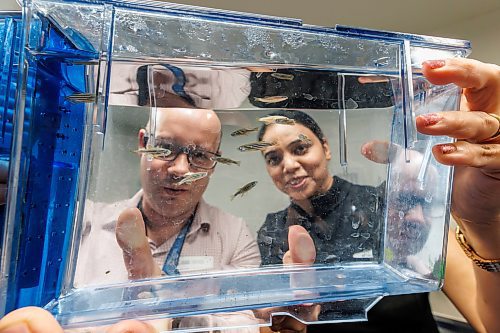 MIKE DEAL / FREE PRESS
Dr. Devi Atukorallaya (right), associate professor of oral biology at the Dr. Gerald Niznick College of Dentistry, and Dr. Benjamin Lindsey (left), assistant professor of human anatomy and cell science at the Max Rady College of Medicine, co-leaders in The Rady Biomedical Fish Facility, hold a tank of zebrafish during a tour at the official opening of the $2.5-million facility at the University of Manitoba&#x2019;s Bannatyne campus Monday morning.
241118 - Monday, November 18, 2024.