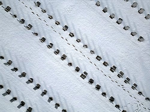 18112024
Footprints mark the snow in Brandon Cemetery on Monday after snow fell over the weekend. Brandon is currently under a winter storm watch for Today extending into Wednesday.
(Tim Smith/The Brandon Sun)