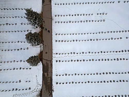 18112024
Pedestrians walk through the snow-covered Brandon Cemetery on Monday after snow fell over the weekend. Brandon is currently under a winter storm watch for Today extending into Wednesday.
(Tim Smith/The Brandon Sun)