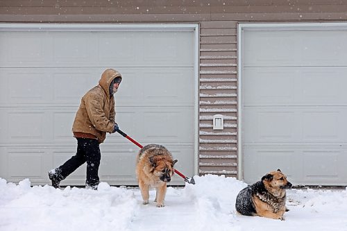 20112024
Mya Jefferies shovels snow from the driveway of her home in Souris as her dogs Heli and Argon look on during flurries on Wednesday afternoon. An overnight winter storm blanketed Westman in snow.  (Tim Smith/The Brandon Sun)