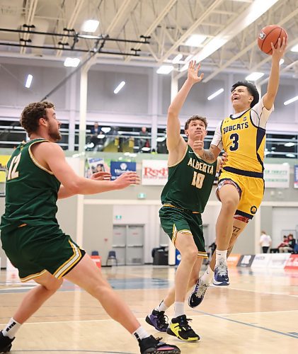 Nathan Saldo takes a shot as Nate Waldron tries to block during Friday's action. 
(Tim Smith/The Brandon Sun)