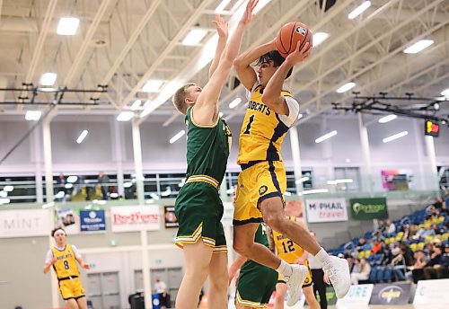 Travis Hamberger leaps to pass against Alberta Friday evening. 
(Tim Smith/The Brandon Sun)