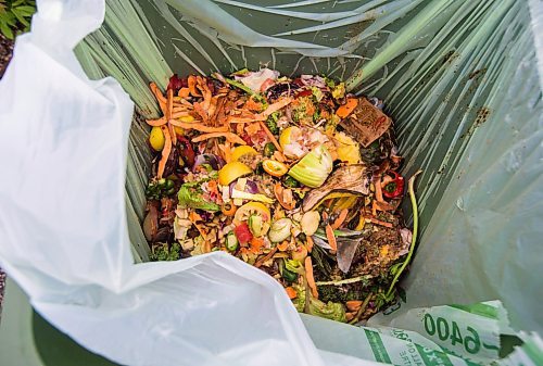 MIKAELA MACKENZIE / WINNIPEG FREE PRESS

The contents of a Compost Winnipeg bin (from a juice bar) in Winnipeg on Tuesday, May 31, 2022. For JS story.
Winnipeg Free Press 2022.