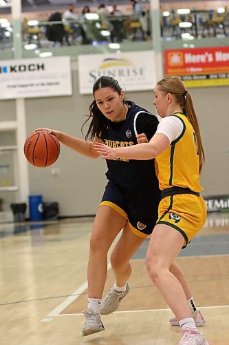 Brandon Bobcats Jayna Maytwayashing drives against the Alberta Pandas during their Canada West women's basketball game at the Healthy Living Centre on Saturday. (Thomas Friesen/The Brandon Sun)