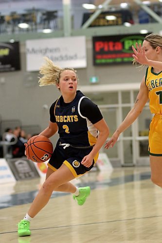 Brandon Bobcats Piper Ingalls drives against the Alberta Pandas during their Canada West women's basketball game at the Healthy Living Centre on Saturday. (Thomas Friesen/The Brandon Sun)