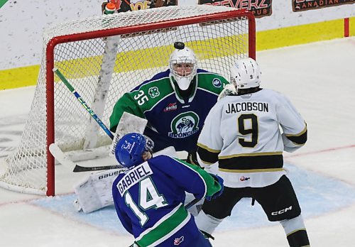 The puck bounces up in the air in front of Swift Current Broncos goalie Joey Rocha (35), Brandon Wheat Kings forward Jaxon Jacobson (9) and Broncos forward Connor Gabriel (14) during Western Hockey League action at Westoba Place on Saturday. (Perry Bergson/The Brandon Sun)
Nov. 23, 2024