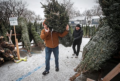 JOHN WOODS / FREE PRESS
Jose Tellez, right, and his son Omar, who are recent migrants from Mexico City, buy their first real Christmas tree at the Scouts Christmas Tree Lot in River Heights Sunday, November 24, 2024, and plan to have a full &#x483;anadian Christmas with all the decorations and things&#x4e0;at their new home. 

Reporter: standup