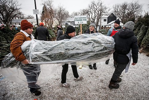 JOHN WOODS / FREE PRESS
Jose Tellez, centre, and his son Omar, left, who are recent migrants from Mexico City, buy their first real Christmas tree at the Scouts Christmas Tree Lot in River Heights Sunday, November 24, 2024, and plan to have a full &#x483;anadian Christmas with all the decorations and things&#x4e0;at their new home. 

Reporter: standup