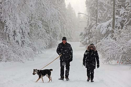 Al and Donna Keffen and their dog Rally walk along a snow-covered road in Wasagaming as snow continues to fall in Riding Mountain National Park on Monday. (Tim Smith/The Brandon Sun)