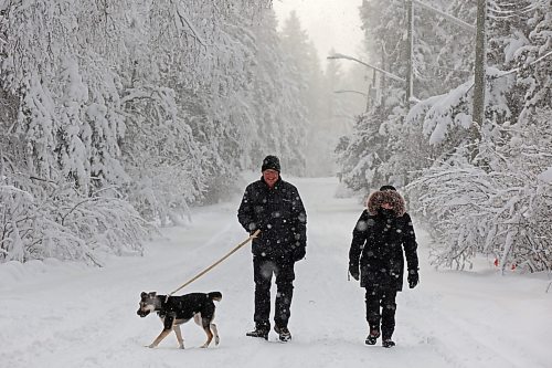 25112024
Al and Donna Keffen and their dog Rally walk along a snow-covered road in Wasagaming as snow conitnues to fall in Riding Mountain National Park on Monday. (Tim Smith/The Brandon Sun)