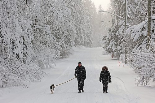 25112024
Al and Donna Keffen and their dog Rally walk along a snow-covered road in Wasagaming as snow conitnues to fall in Riding Mountain National Park on Monday. (Tim Smith/The Brandon Sun)