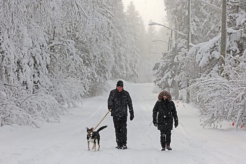 25112024
Al and Donna Keffen and their dog Rally walk along a snow-covered road in Wasagaming as snow conitnues to fall in Riding Mountain National Park on Monday. (Tim Smith/The Brandon Sun)