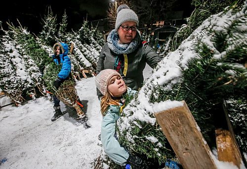 JOHN WOODS / FREE PRESS
Cori-Lee Roberts, coordinator of the Friends of 67th Christmas Tree Lot at River Heights Community Club, and her children Lochlann, left, and Xyla are photographed as they volunteer at the lot Wednesday, November 26, 2024. The 67th Winnipeg Scout group has been selling Christmas trees for 60 years.

Reporter: skye