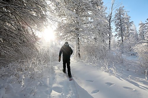 Participating in the Christmas Bird Count is a great excuse to get outside and explore the beauty of a Manitoba winter. (Matt Goerzen/The Brandon Sun)
