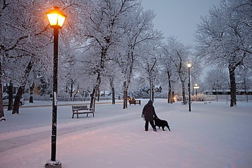 27112024
Rosario Medrano of El Salvador plays with her dog Selena while admiring the hoar frost at Stanley Park early Wednesday morning.
(Tim Smith/The Brandon Sun)