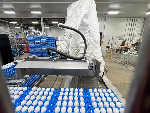 MIKE DEAL / FREE PRESS
A large robotic arm lifts huge pallets of eggs in the processing plant.
Agriculture Minister Ron Kostyshyn announces during a press conference at the Burnbrae Farms processing plant (500 Pandora Ave. W), that the governments of Canada and Manitoba are investing in several major capital infrastructure and investment projects under the Sustainable Canadian Agriculture Partnership (Sustainable CAP) that will increase food processing capacity in Manitoba, allowing producers to sell more of their product locally and create more agricultural jobs.
Reporter: Martin Cash
241128 - Thursday, November 28, 2024.