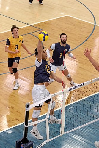 Brandon University Bobcats Sam Chen attacks against the Alberta Golden Bears during their Canada West men's volleyball match at the Healthy Living Centre on Friday evening. (Thomas Friesen/The Brandon Sun)