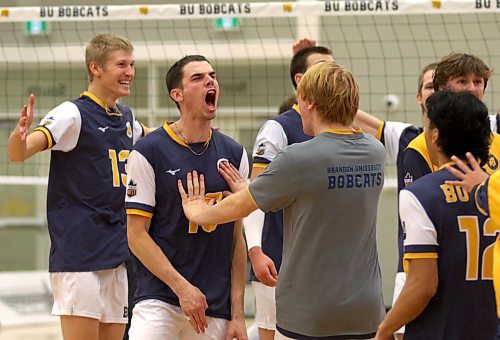 The Brandon University Bobcats celebrate their four-set win over the No. 1-ranked Alberta Golden Bears in Canada West men's volleyball action at the Healthy Living Centre on Friday. (Thomas Friesen/The Brandon Sun)