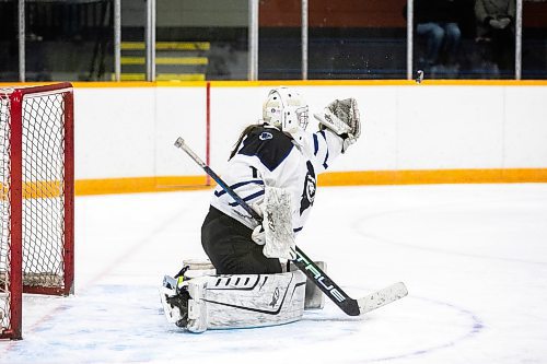 MIKAELA MACKENZIE / FREE PRESS
	
The Warren Wildcats goalie Vayha Willis during a game against the Vincent Massey Trojans at Century Arena on Friday, Nov. 29, 2024. 

For sports story.
Winnipeg Free Press 2024