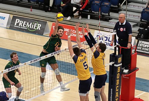 Alberta Golden Bears Isaac Heslinga attacks against the Brandon University Bobcats during their Canada West men's volleyball match at the Healthy Living Centre on Saturday. (Thomas Friesen/The Brandon Sun)