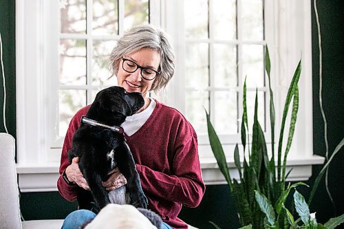 MIKAELA MACKENZIE / FREE PRESS
	
Lorraine Rempel, who volunteers her time raising puppies that will go on to become CNIB guide dogs, with Ollie on Friday, Nov. 29, 2024. 

For Aaron Epp story.
Winnipeg Free Press 2024