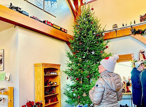 Gord Mackintosh / for the Free Press
Margie train-spots an endearing little locomotive chugging around CD Trees&#x2019; gift shop.